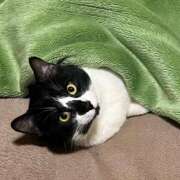 ヒメ日記 2026/01/22 18:35 投稿 夏海えな 熟女パラダイス岐阜羽島店（カサブランカグループ）