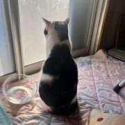 ヒメ日記 2026/01/24 22:05 投稿 夏海えな 熟女パラダイス岐阜羽島店（カサブランカグループ）