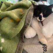 ヒメ日記 2026/02/05 11:05 投稿 夏海えな 熟女パラダイス岐阜羽島店（カサブランカグループ）