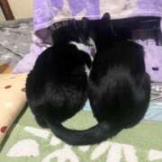 ヒメ日記 2026/02/13 23:55 投稿 夏海えな 熟女パラダイス岐阜羽島店（カサブランカグループ）