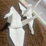 ヒメ日記 2026/02/21 12:25 投稿 夏海えな 熟女パラダイス岐阜羽島店（カサブランカグループ）