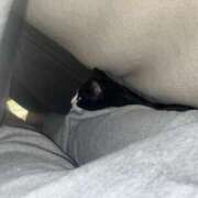 ヒメ日記 2026/02/23 14:33 投稿 夏海えな 熟女パラダイス岐阜羽島店（カサブランカグループ）