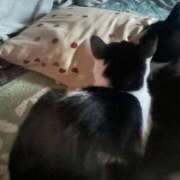 ヒメ日記 2026/02/26 08:59 投稿 夏海えな 熟女パラダイス岐阜羽島店（カサブランカグループ）