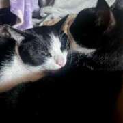 ヒメ日記 2026/02/27 11:39 投稿 夏海えな 熟女パラダイス岐阜羽島店（カサブランカグループ）