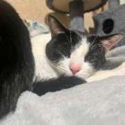 ヒメ日記 2026/02/28 22:17 投稿 夏海えな 熟女パラダイス岐阜羽島店（カサブランカグループ）