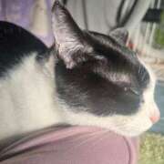 ヒメ日記 2026/03/01 09:19 投稿 夏海えな 熟女パラダイス岐阜羽島店（カサブランカグループ）