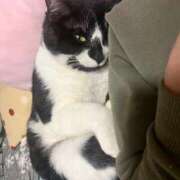 ヒメ日記 2026/03/03 12:03 投稿 夏海えな 熟女パラダイス岐阜羽島店（カサブランカグループ）