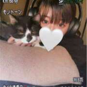 ヒメ日記 2026/03/07 10:35 投稿 夏海えな 熟女パラダイス岐阜羽島店（カサブランカグループ）