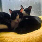 ヒメ日記 2026/03/08 14:03 投稿 夏海えな 熟女パラダイス岐阜羽島店（カサブランカグループ）