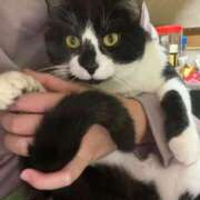 夏海えな ? 15:30 〜 ご予約 熟女パラダイス岐阜羽島店（カサブランカグループ）