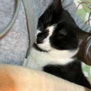 夏海えな ? ( ?ω? )zzz 熟女パラダイス岐阜羽島店（カサブランカグループ）