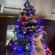 ヒメ日記 2025/11/23 11:11 投稿 神埼れいこ 熟女パラダイス岐阜羽島店（カサブランカグループ）