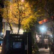 ヒメ日記 2025/11/28 18:23 投稿 神埼れいこ 熟女パラダイス岐阜羽島店（カサブランカグループ）