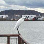 ヒメ日記 2025/12/03 15:53 投稿 神埼れいこ 熟女パラダイス岐阜羽島店（カサブランカグループ）