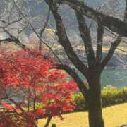 ヒメ日記 2025/12/08 07:43 投稿 神埼れいこ 熟女パラダイス岐阜羽島店（カサブランカグループ）