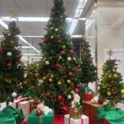 ヒメ日記 2025/12/10 10:25 投稿 神埼れいこ 熟女パラダイス岐阜羽島店（カサブランカグループ）