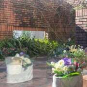 ヒメ日記 2025/12/18 16:33 投稿 神埼れいこ 熟女パラダイス岐阜羽島店（カサブランカグループ）