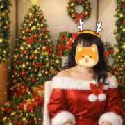 ヒメ日記 2025/12/19 00:37 投稿 神埼れいこ 熟女パラダイス岐阜羽島店（カサブランカグループ）