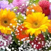 ヒメ日記 2026/01/07 11:47 投稿 神埼れいこ 熟女パラダイス岐阜羽島店（カサブランカグループ）