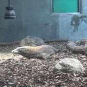 ヒメ日記 2026/03/03 20:49 投稿 七瀬ゆず 熟女パラダイス岐阜羽島店（カサブランカグループ）