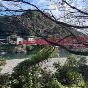 ヒメ日記 2026/03/05 10:11 投稿 七瀬ゆず 熟女パラダイス岐阜羽島店（カサブランカグループ）