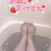 ヒメ日記 2025/11/24 13:27 投稿 白瀬まゆ 熟女パラダイス岐阜羽島店（カサブランカグループ）