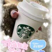 ヒメ日記 2025/12/29 20:01 投稿 白瀬まゆ 熟女パラダイス岐阜羽島店（カサブランカグループ）