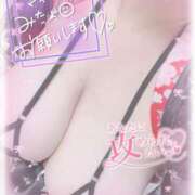 ヒメ日記 2026/01/24 11:45 投稿 白瀬まゆ 熟女パラダイス岐阜羽島店（カサブランカグループ）