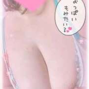 ヒメ日記 2026/03/29 11:25 投稿 白瀬まゆ 熟女パラダイス岐阜羽島店（カサブランカグループ）