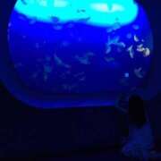 ヒメ日記 2026/07/01 08:46 投稿 ひかる 虹色メロンパイ 横浜店