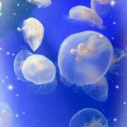 ヒメ日記 2025/12/02 21:30 投稿 みみ わちゃわちゃ密着リアルフルーちゅ西船橋