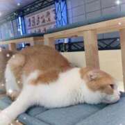 ヒメ日記 2026/01/17 10:28 投稿 みみ わちゃわちゃ密着リアルフルーちゅ西船橋