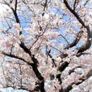 ヒメ日記 2026/03/28 13:02 投稿 みみ わちゃわちゃ密着リアルフルーちゅ西船橋