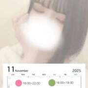 ヒメ日記 2025/11/16 18:39 投稿 徳永あい グランエステ東京 品川（シンデレラグループ）