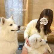 ヒメ日記 2026/01/04 18:20 投稿 めんま Venti大阪