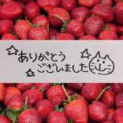 ヒメ日記 2025/11/17 01:15 投稿 ここみ 横浜おかあさん