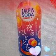 ヒメ日記 2025/11/19 18:35 投稿 ここみ 横浜おかあさん