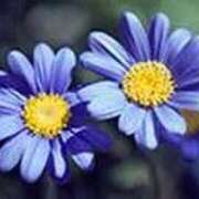 ヒメ日記 2025/11/21 16:35 投稿 ここみ 横浜おかあさん