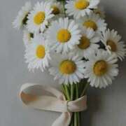 ヒメ日記 2025/12/01 17:05 投稿 ここみ 横浜おかあさん