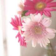 ヒメ日記 2025/12/02 19:05 投稿 ここみ 横浜おかあさん