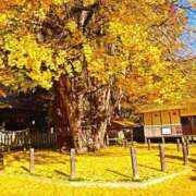 ここみ 🌠向かってます🌠 横浜おかあさん