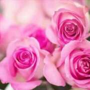 ヒメ日記 2025/12/06 11:45 投稿 ここみ 横浜おかあさん