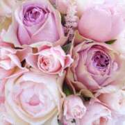 ヒメ日記 2025/12/07 17:35 投稿 ここみ 横浜おかあさん