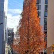 ヒメ日記 2025/12/12 14:05 投稿 ここみ 横浜おかあさん