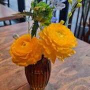 ヒメ日記 2025/12/16 18:10 投稿 ここみ 横浜おかあさん