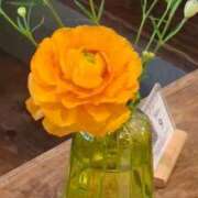 ヒメ日記 2025/12/22 18:05 投稿 ここみ 横浜おかあさん