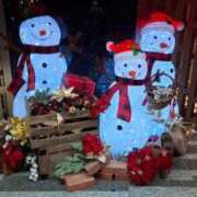 ヒメ日記 2025/12/23 16:05 投稿 ここみ 横浜おかあさん