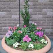 ヒメ日記 2026/01/16 13:05 投稿 ここみ 横浜おかあさん