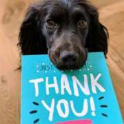 ヒメ日記 2026/01/17 17:35 投稿 ここみ 横浜おかあさん