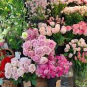 ヒメ日記 2026/01/27 16:05 投稿 ここみ 横浜おかあさん